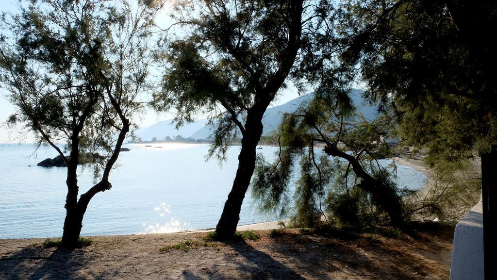 Testa Di Monaco Natural Beach Capo d'Orlando Bagian luar foto